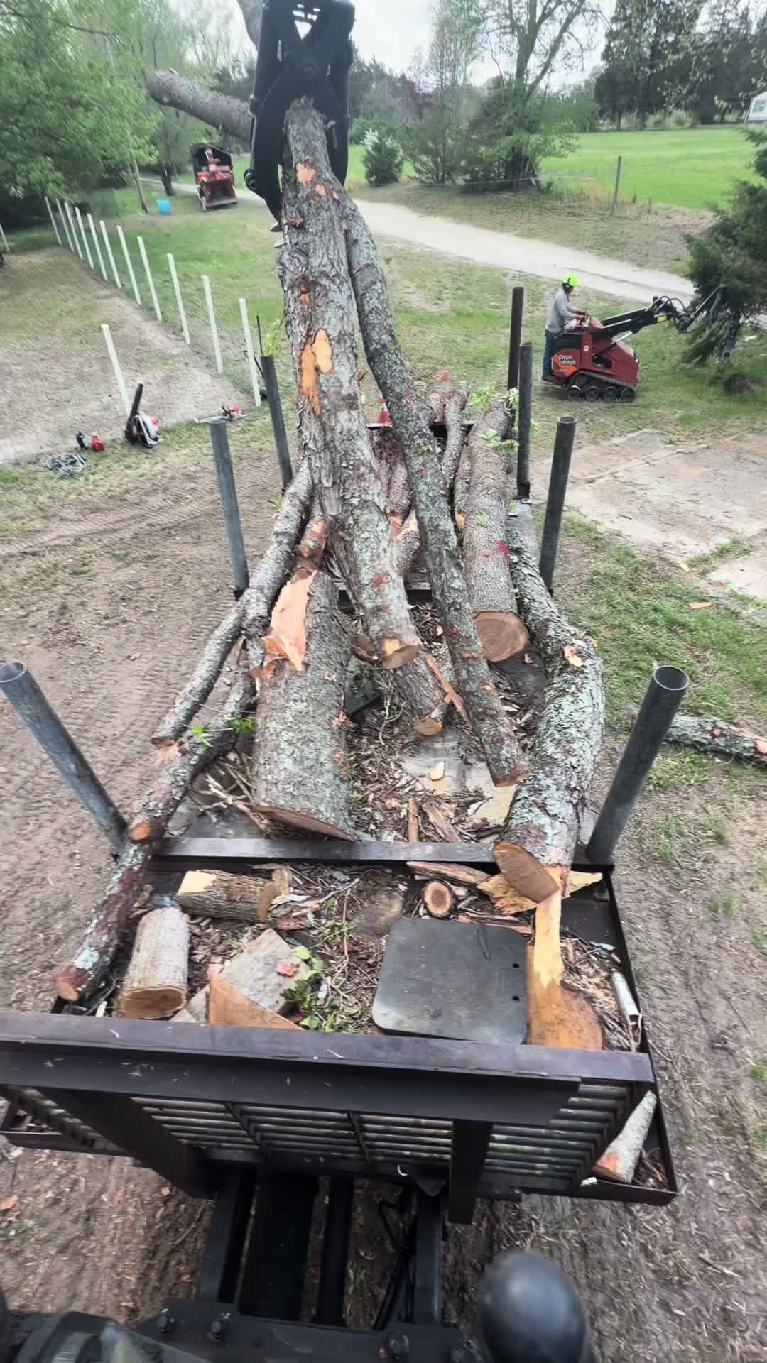 @Buzzsawtrees