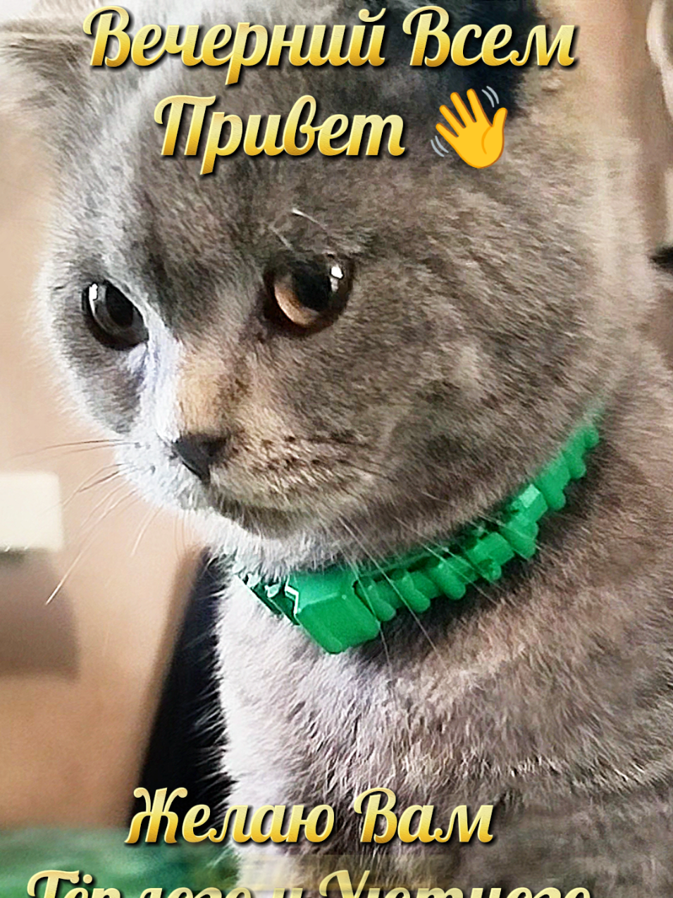@😻Риччи&Джесси🐈Масик👼&Андрей