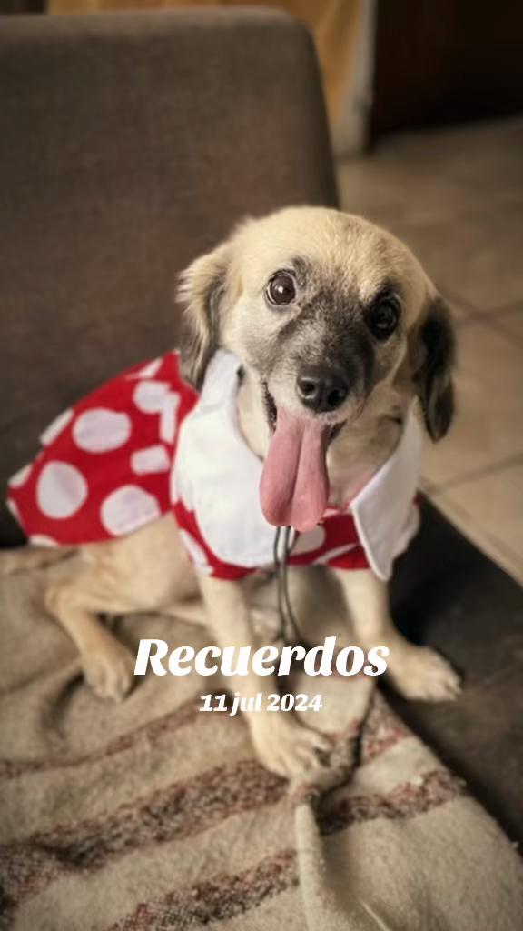 @Fiorella K'rdenaz