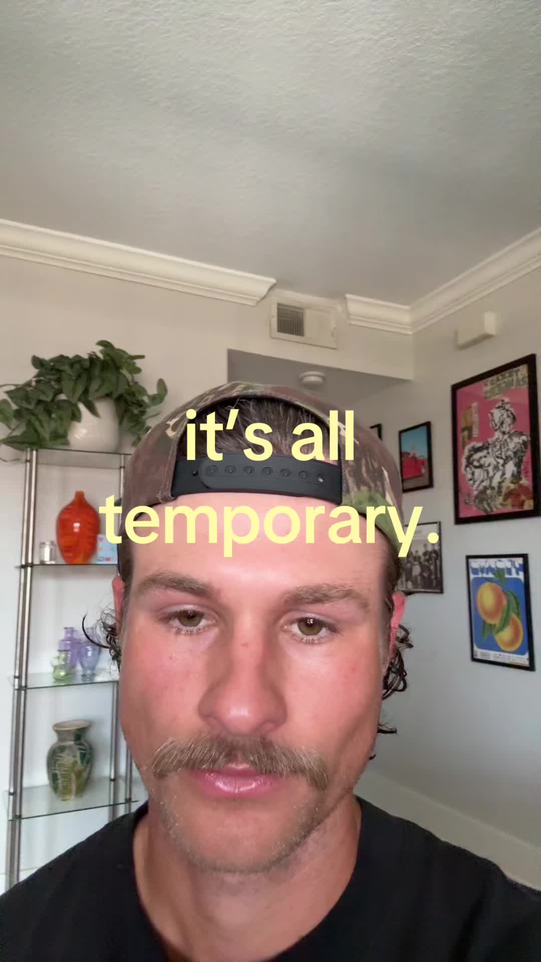 @shane