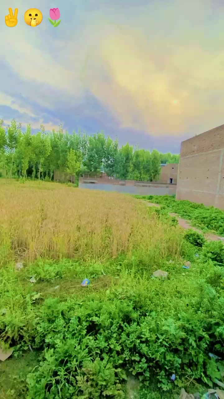 @kashiflhan12