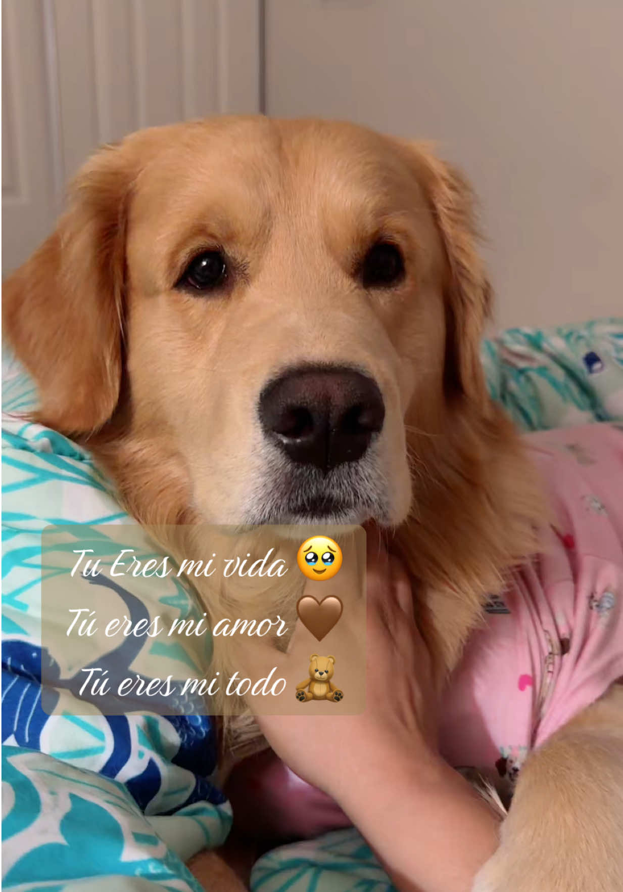 @✨🦋Zoe🦋✨