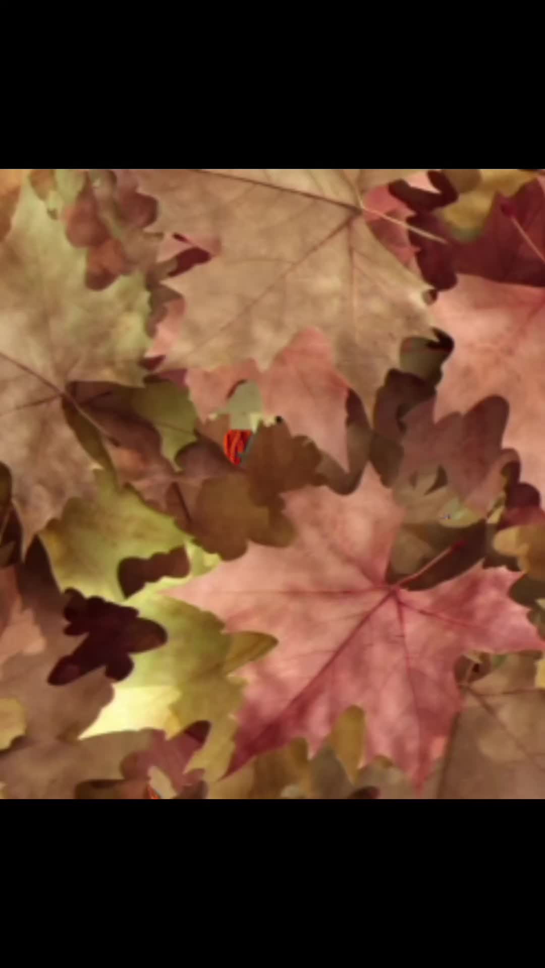 @Sims4Joy
