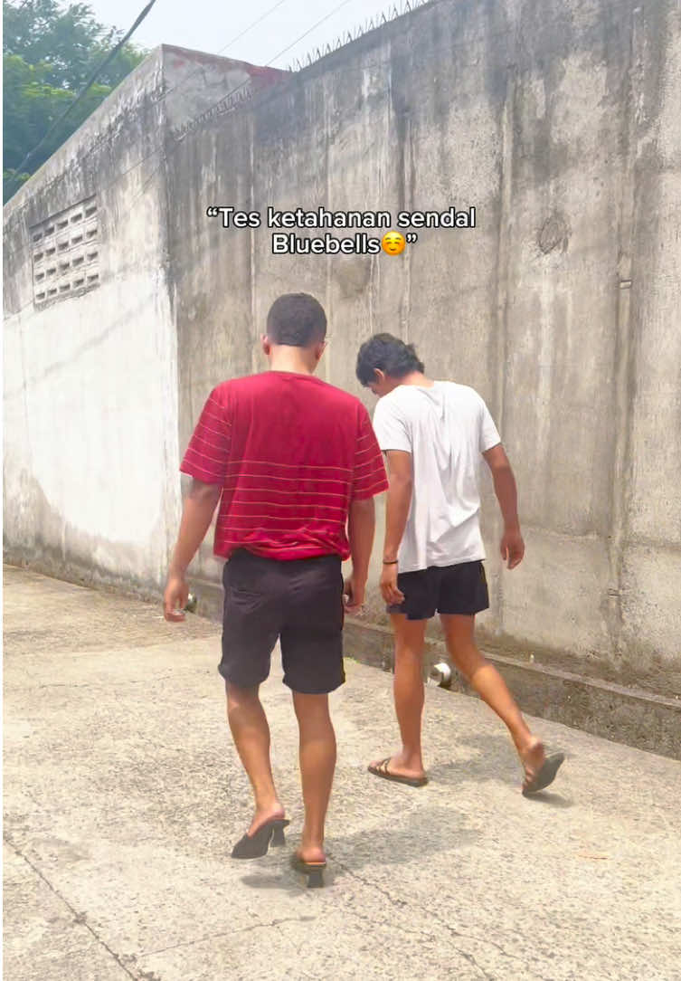 @bluebells