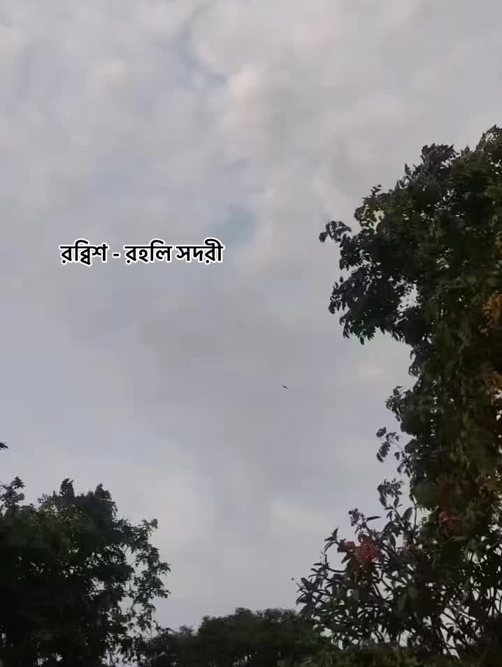 @𐙚_ᴡαғα_!i🤍🫧
