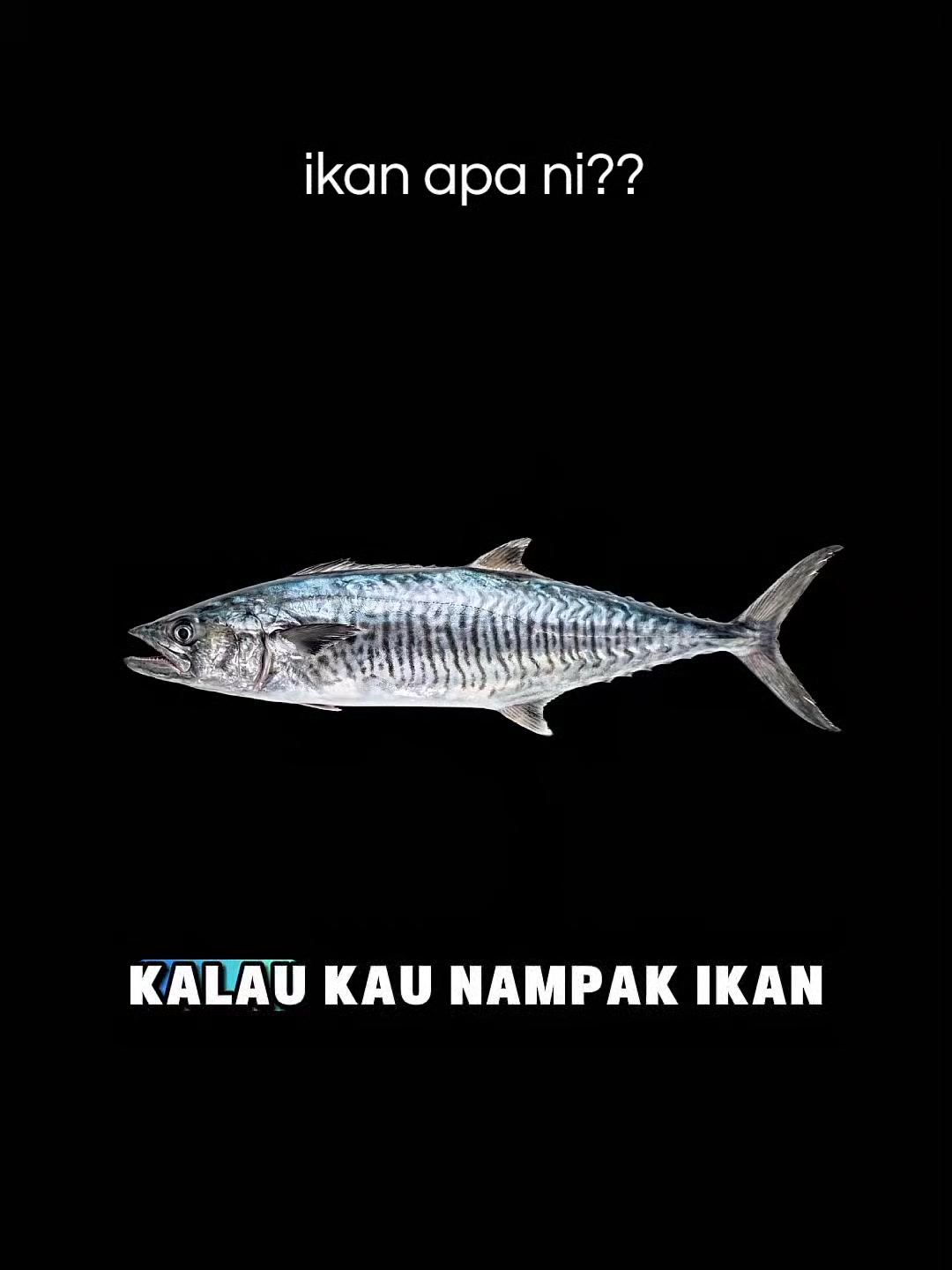 @Kasturi