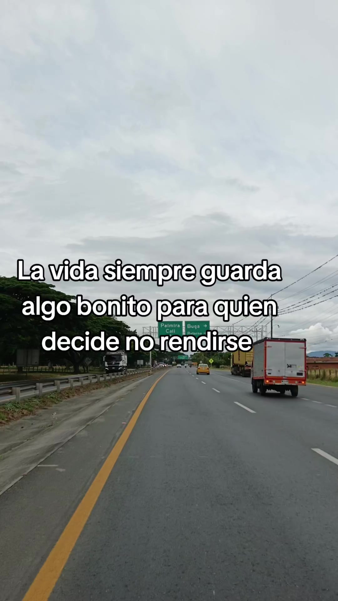 @luz