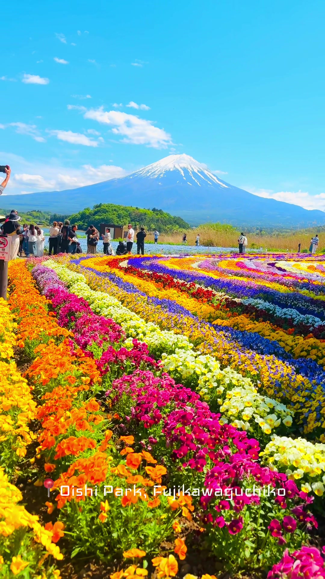 @NihonVoyages