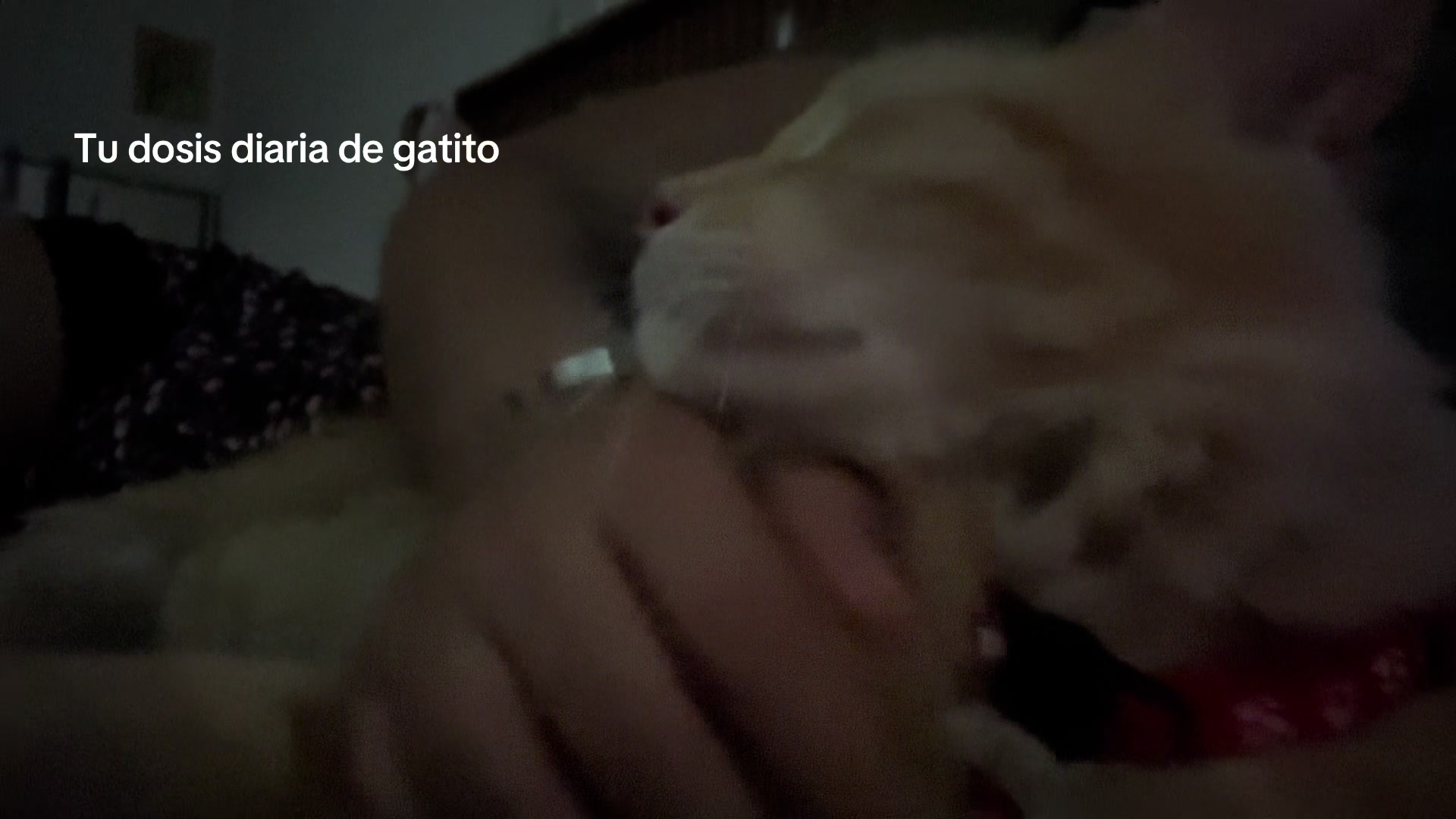@rubimedinacarrillo