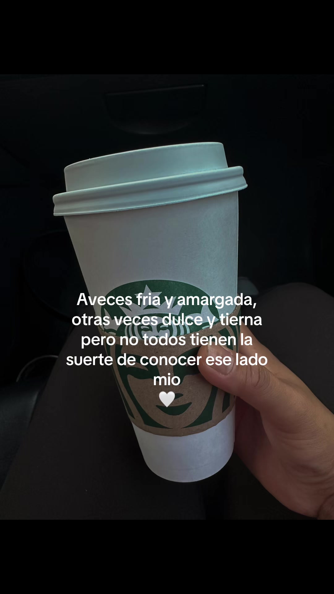 @sofia felix
