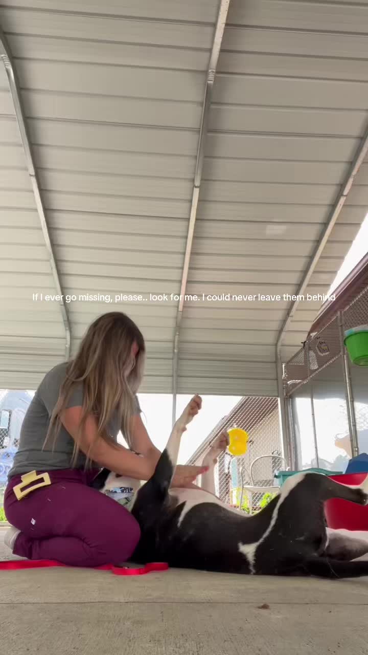 @Nicolesuffredini
