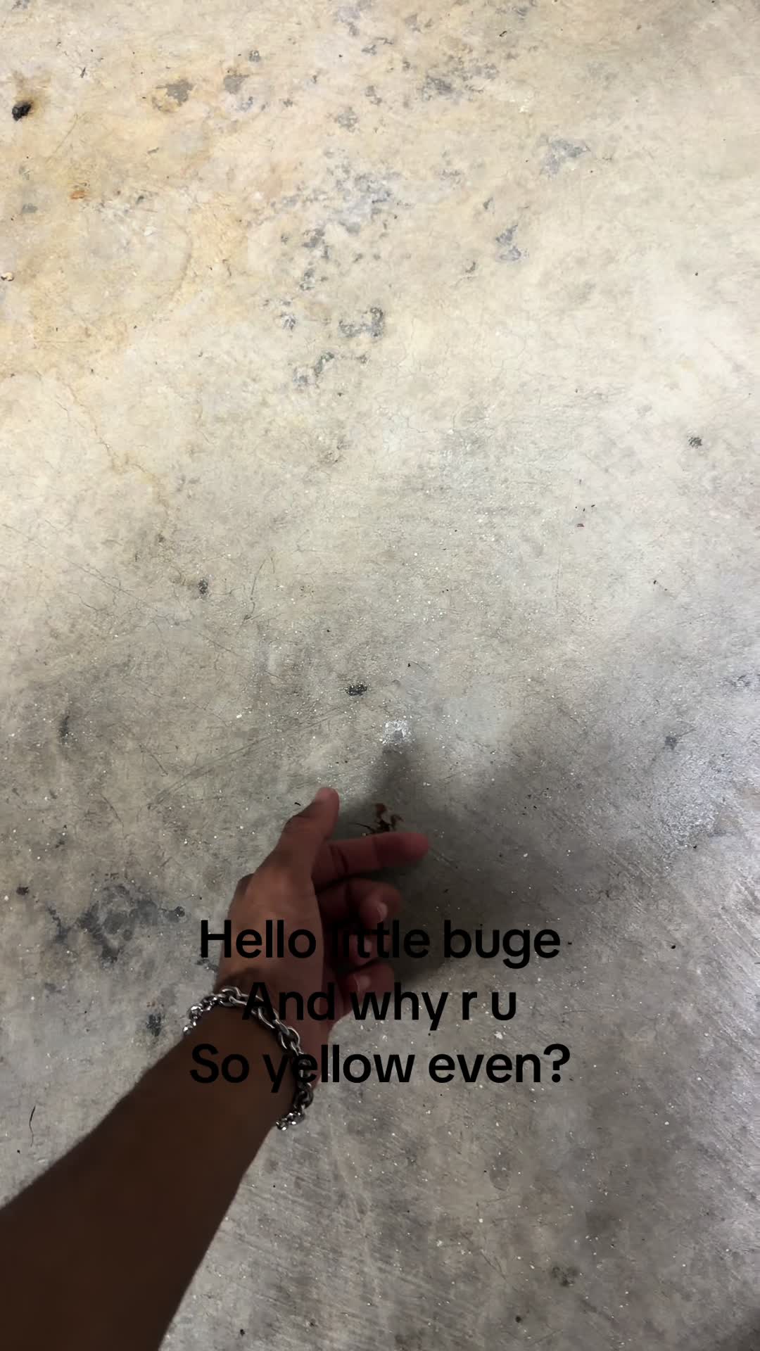 @LongNuts