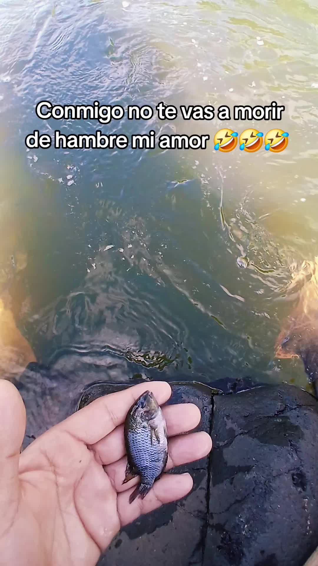@Deiby