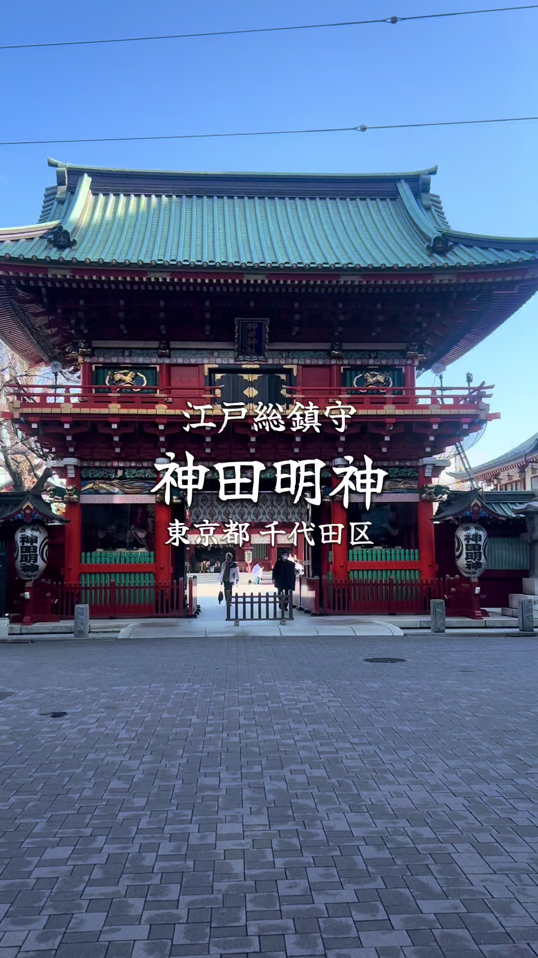 @まもまるも