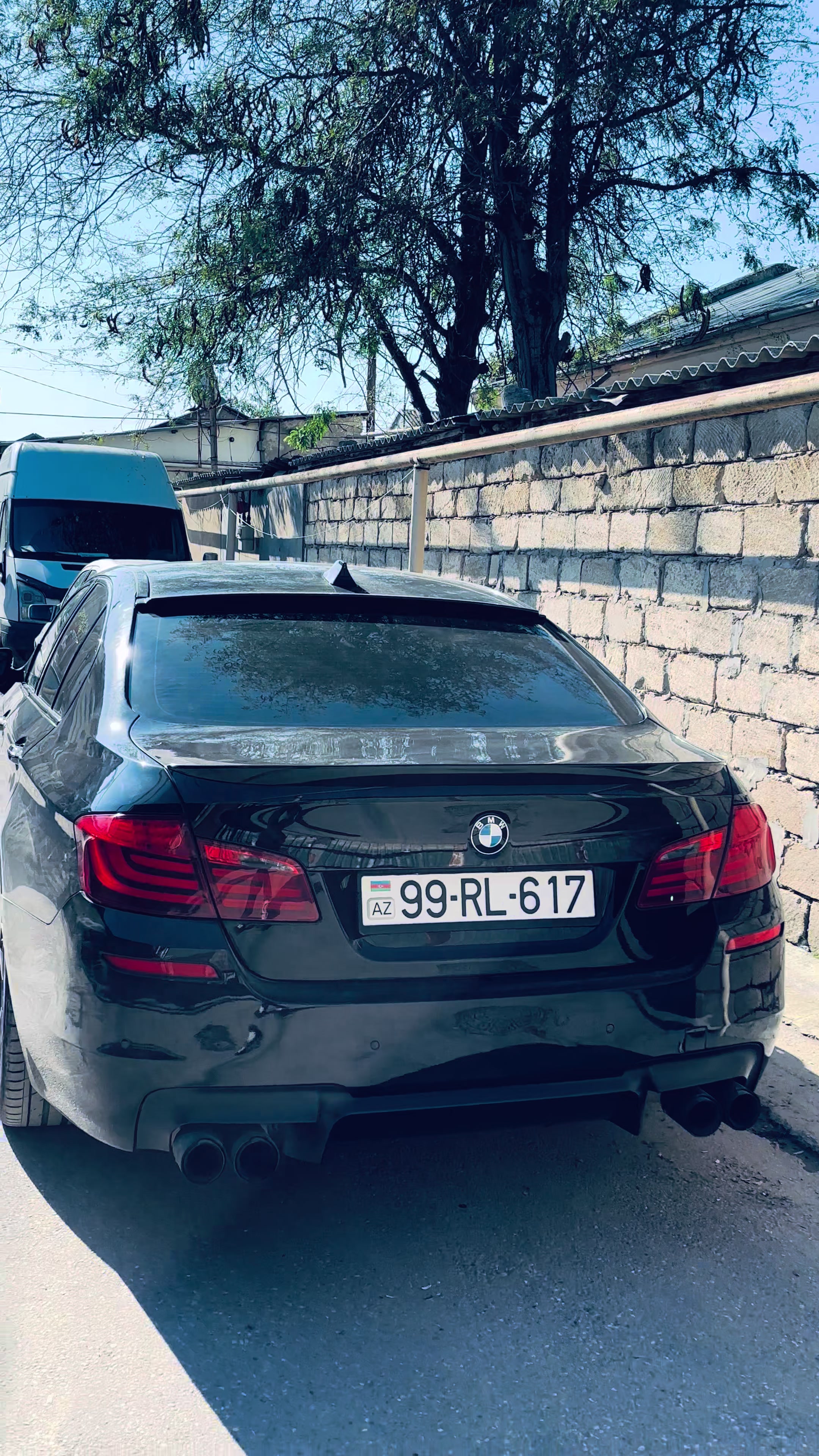 @Ceko 🐆910