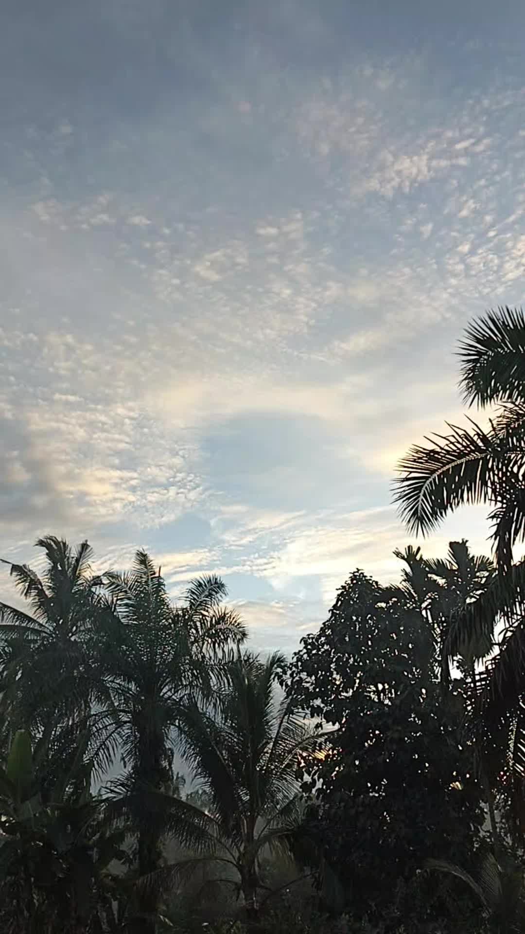 @Kitiran_26