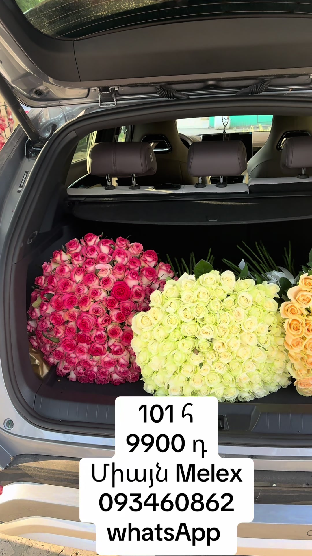 @Ծաղիկներ&ensp;Melex