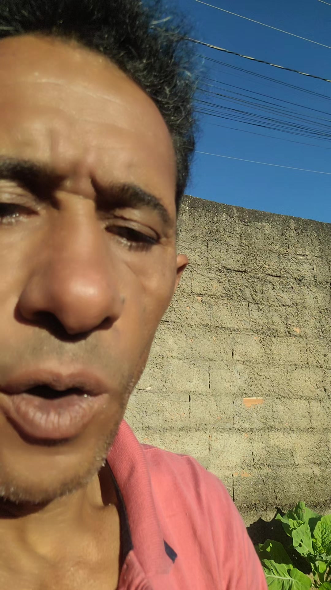 @Jos&eacute; Arlindo Ribeiro