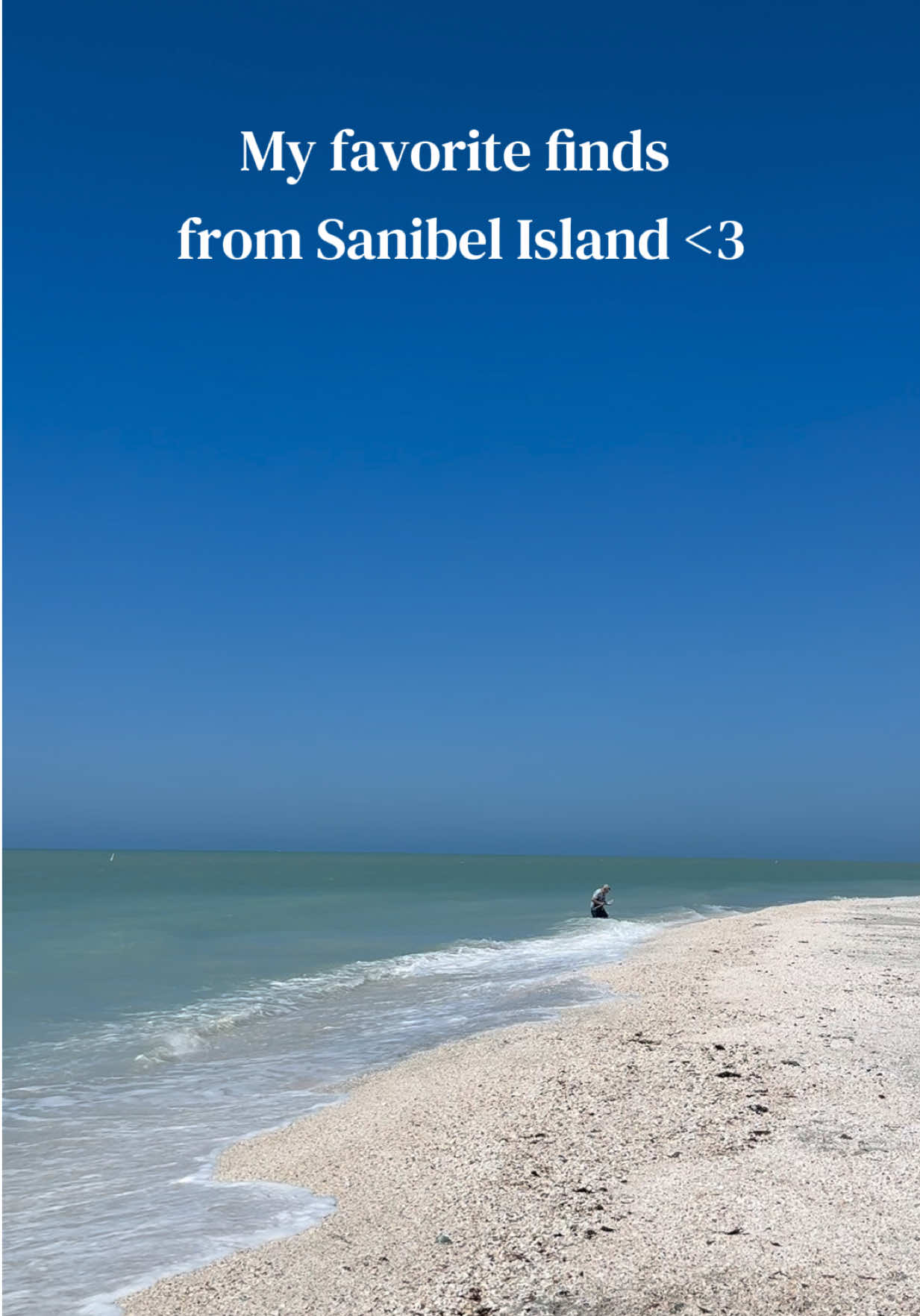 @Sanibel Sis