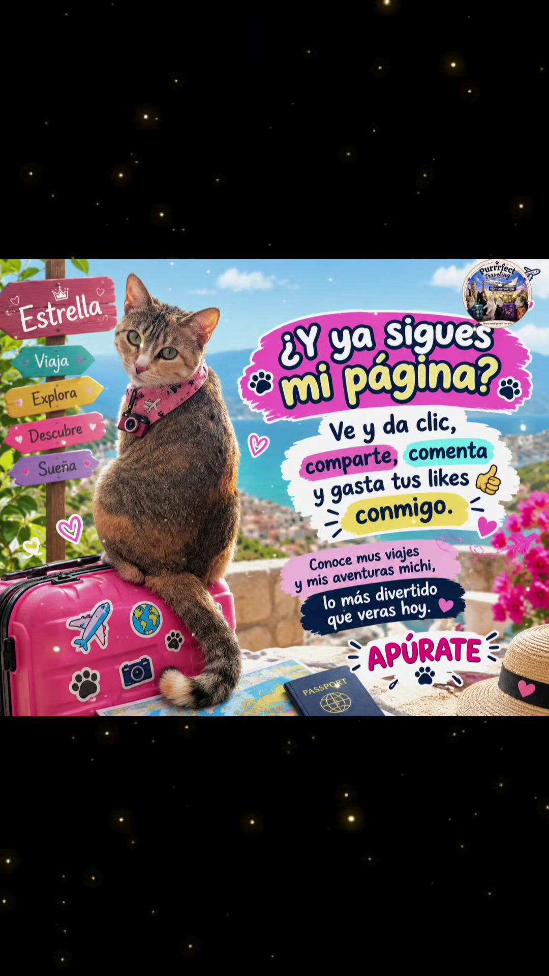 @Purrrfect Traveling