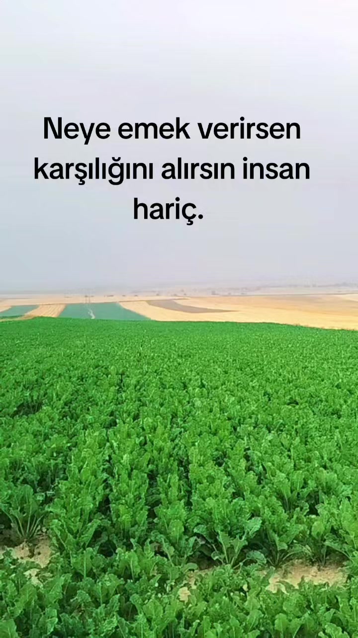 @26Kaan25
