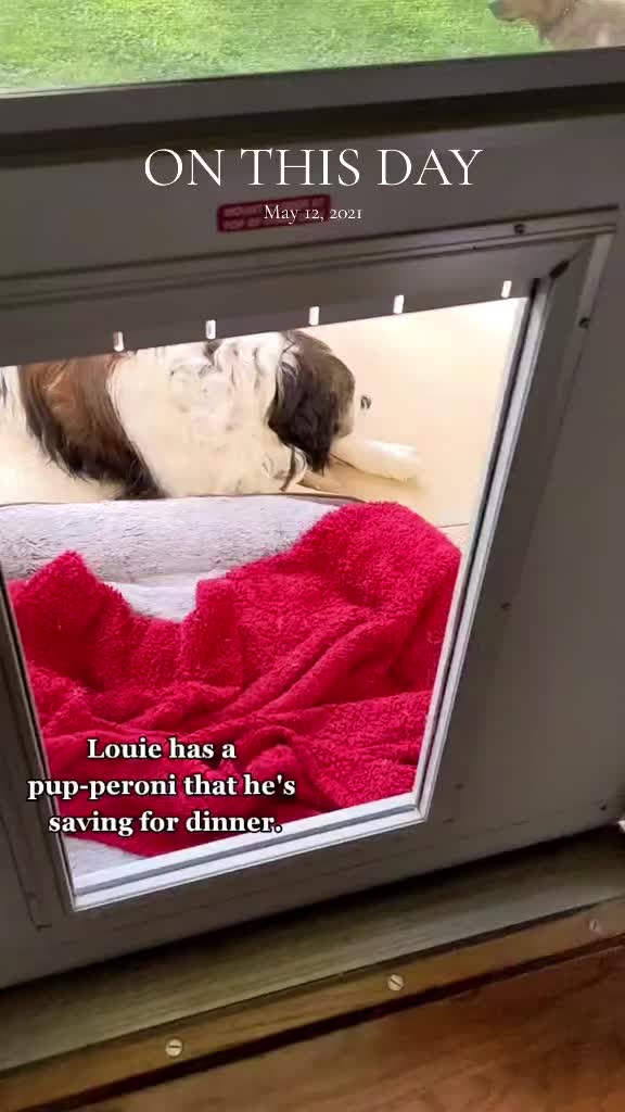 @LifeofLou.ie