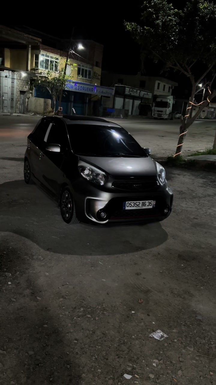 @anis picanto