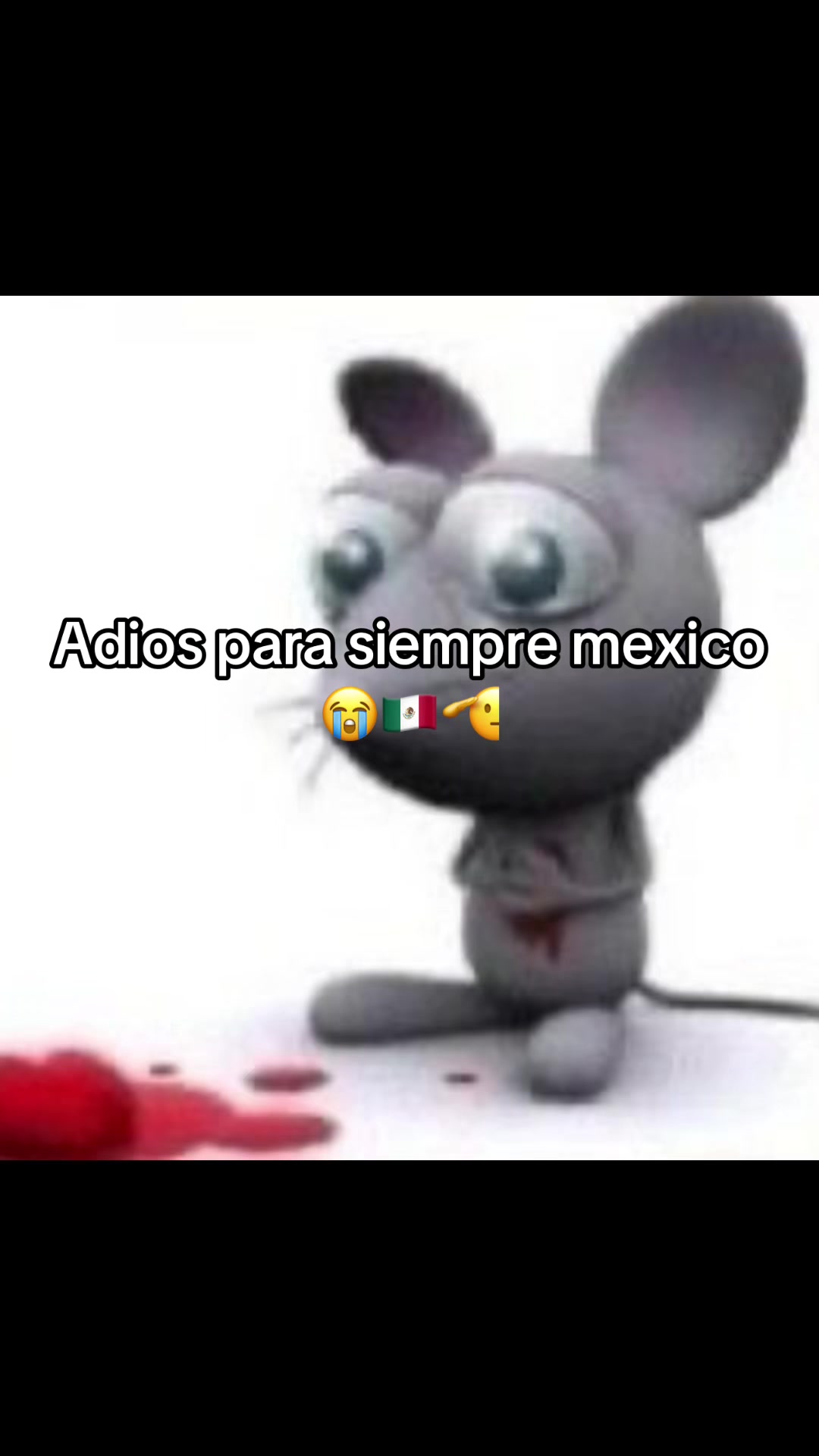 @monooaxaco