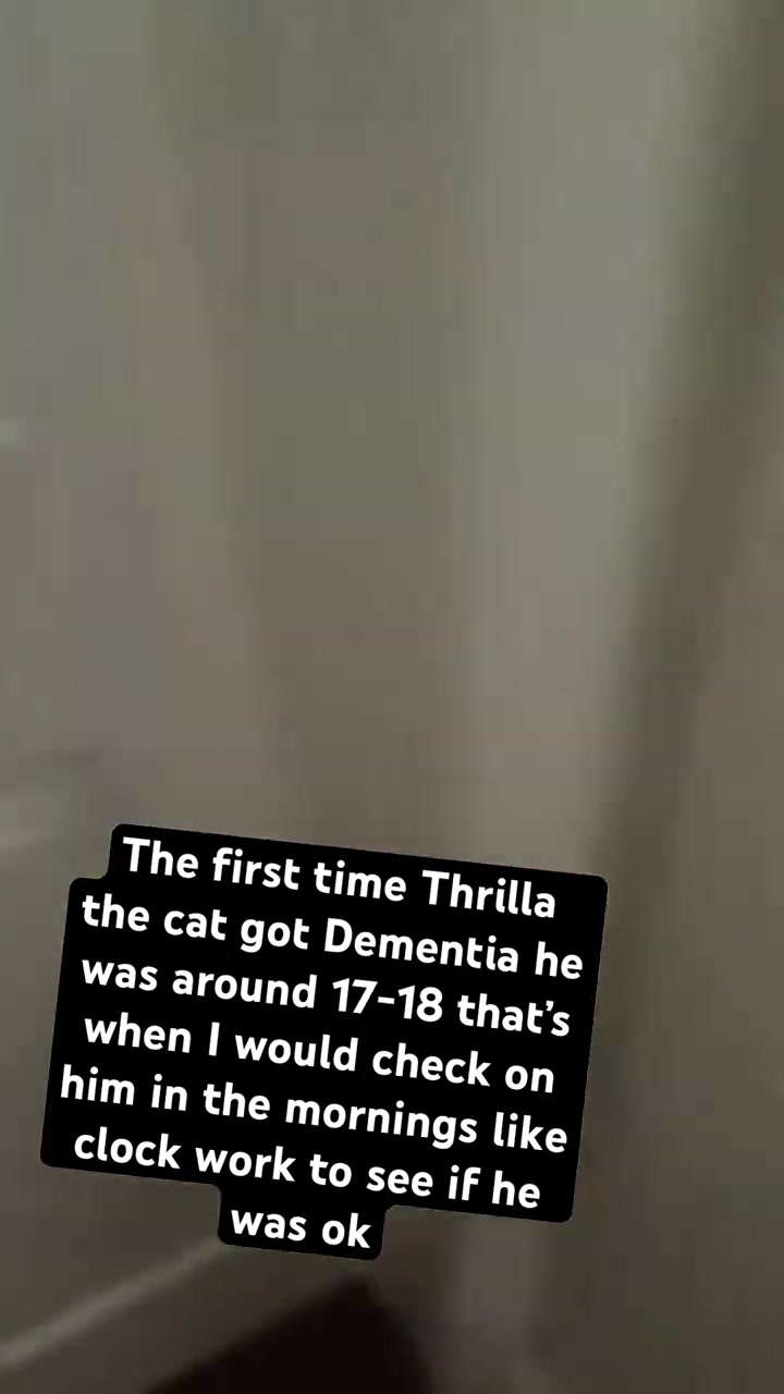 @ACatnameThrilla&aGuynamedRa