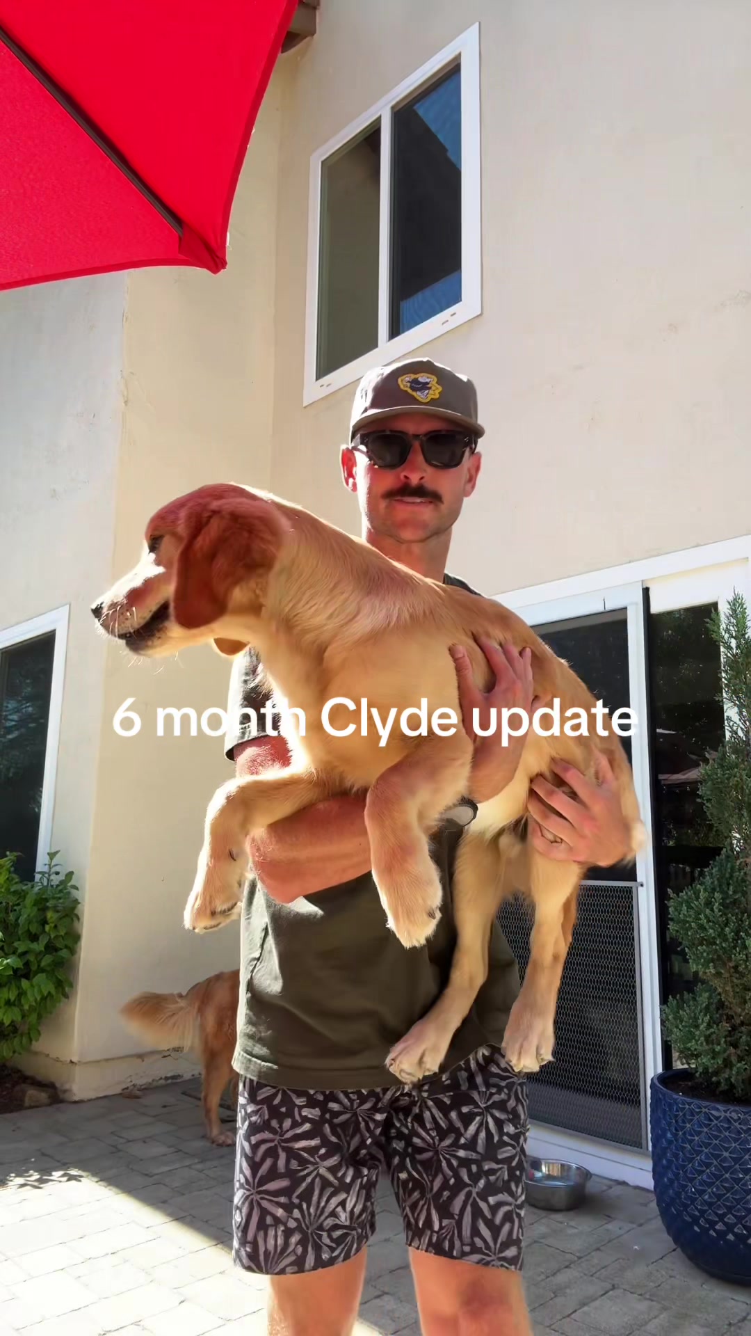 @Pilotjackryan