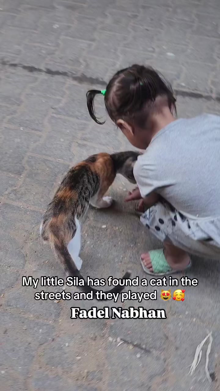 @Gaza Animal Rescue