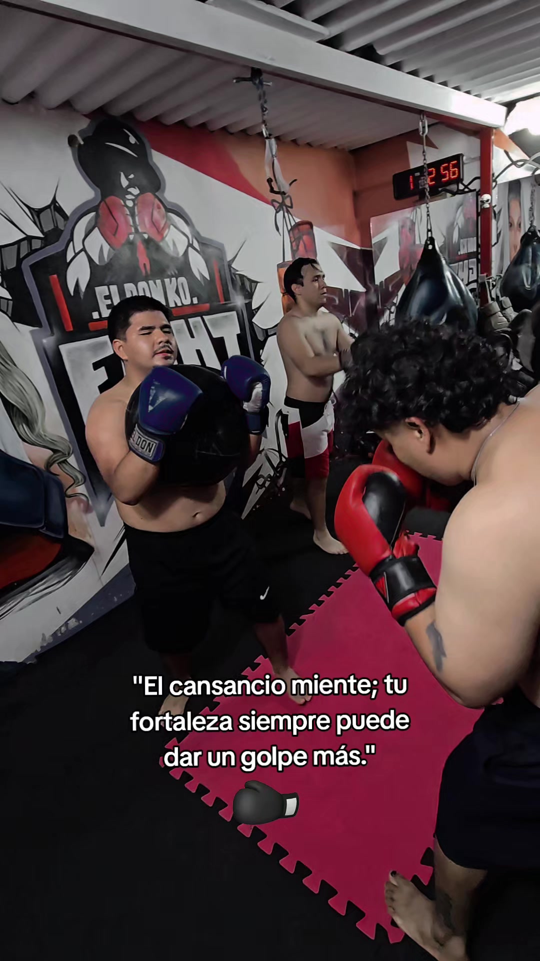 @EL DON K.O.🥊