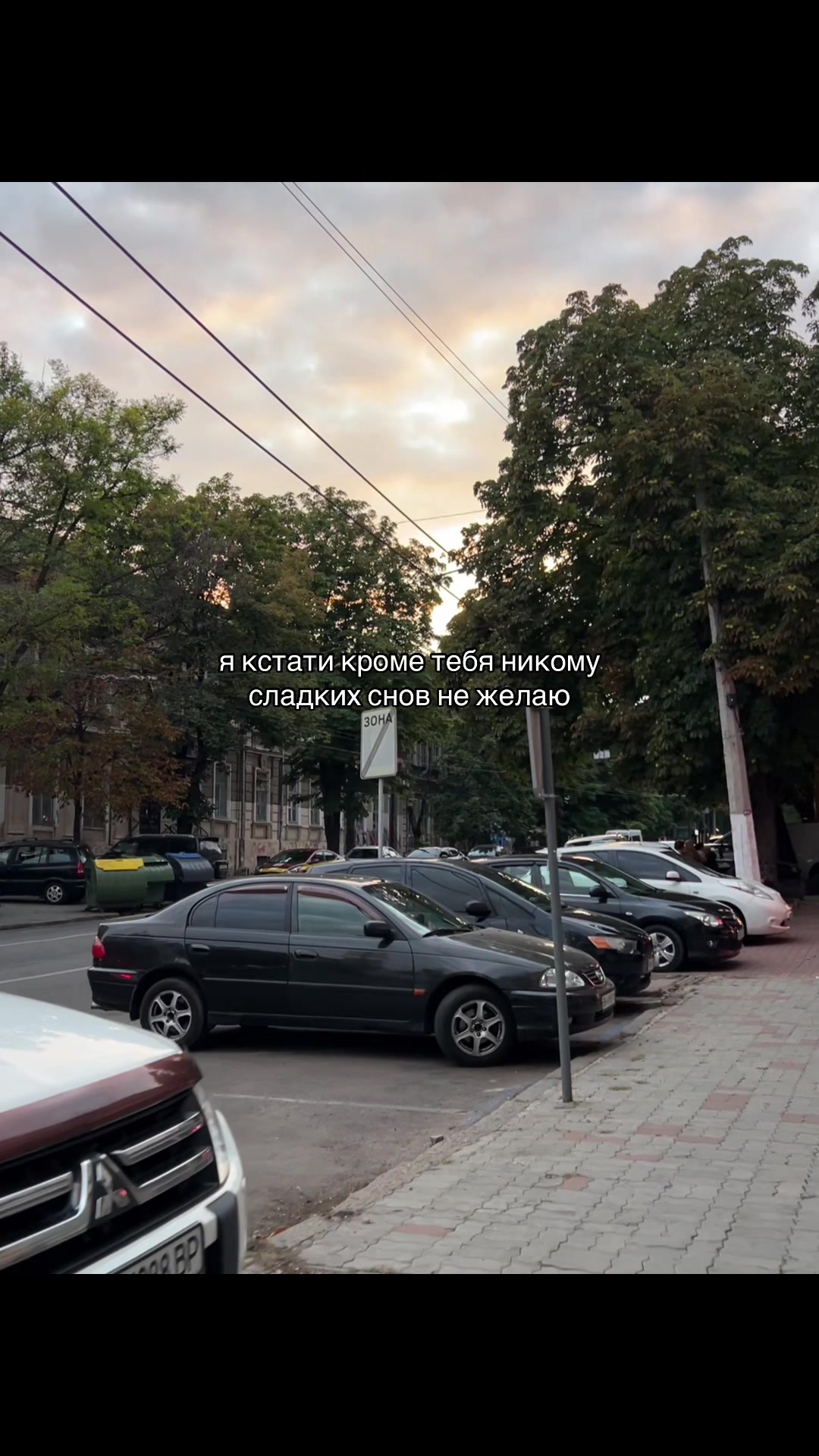 @мур мур 🐾