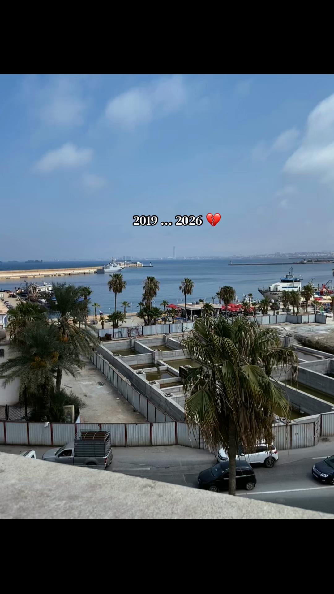 @🕊️