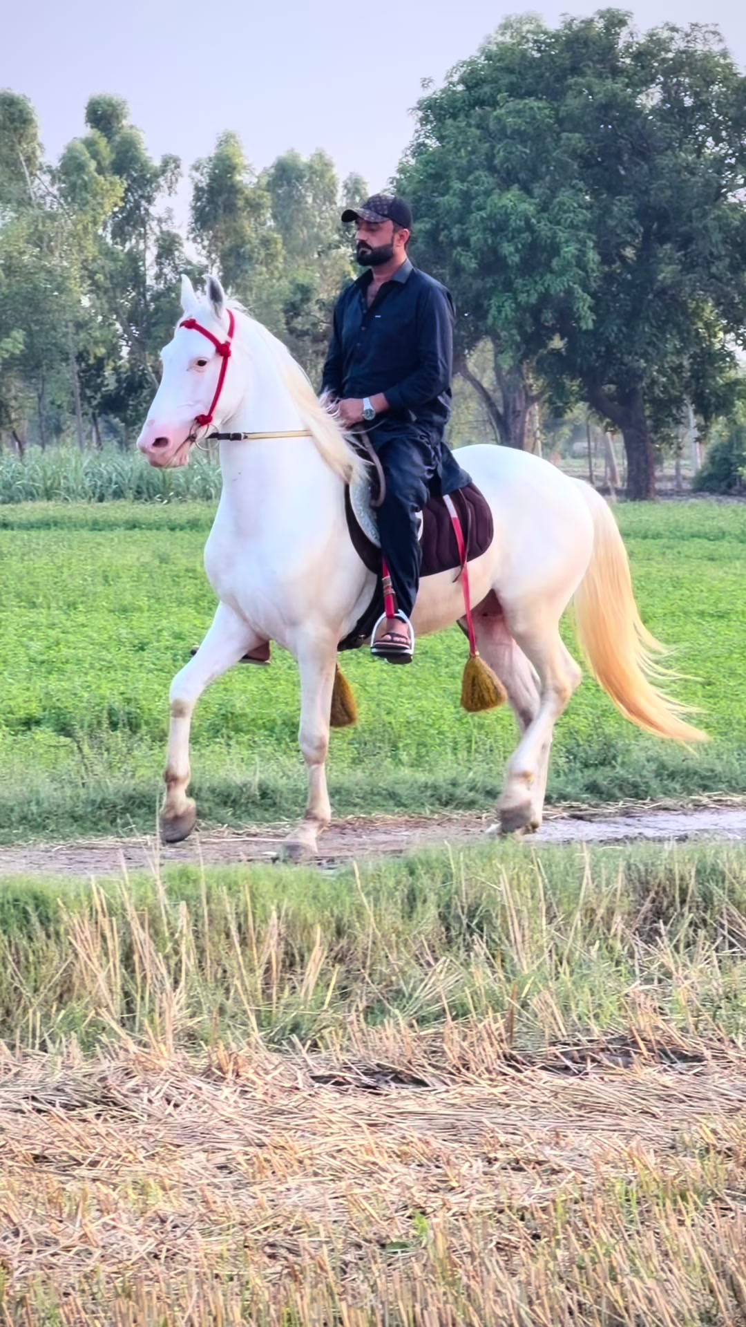 @Faisal Altaf Bosal