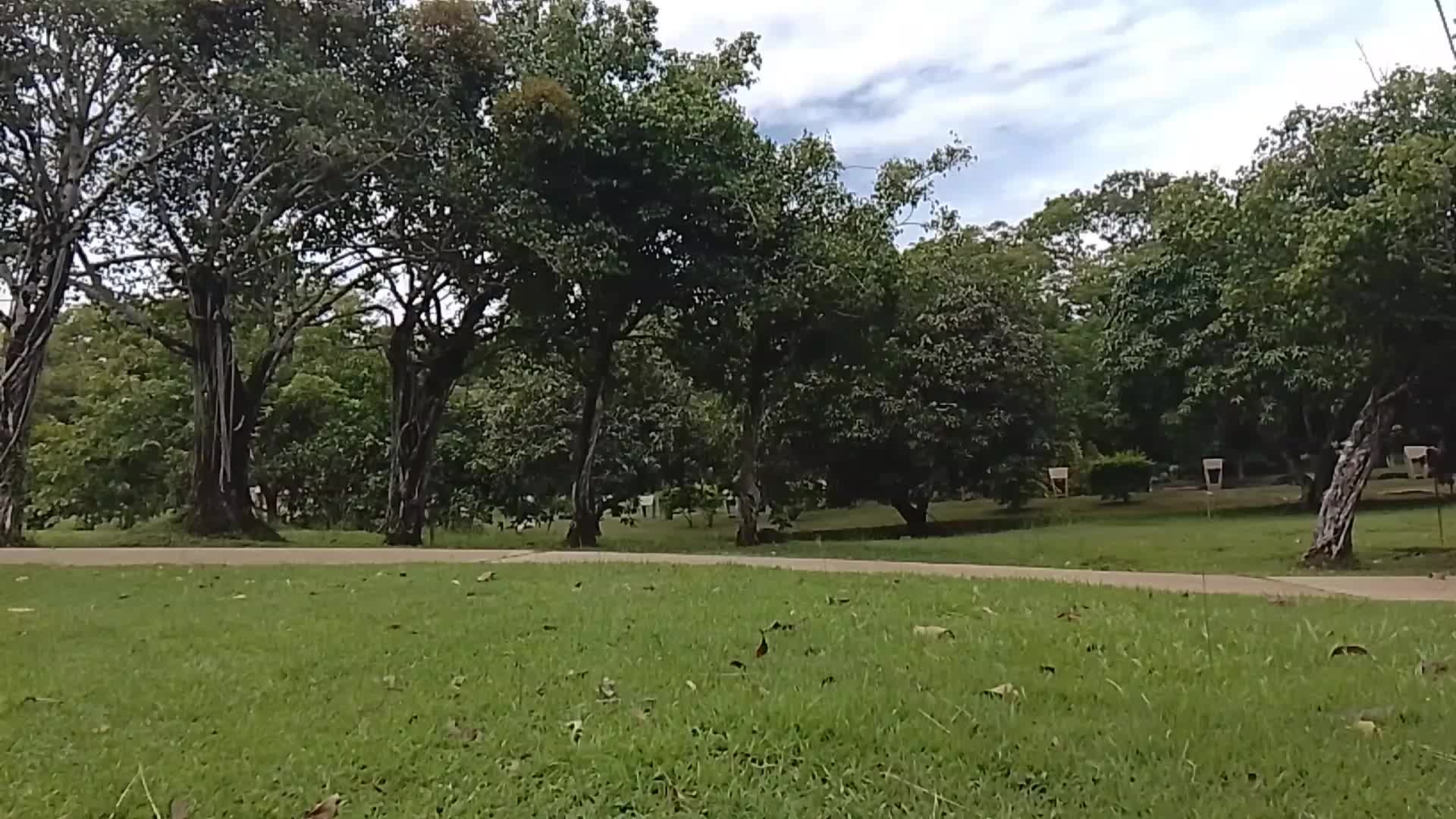 @spidermanlangkawi