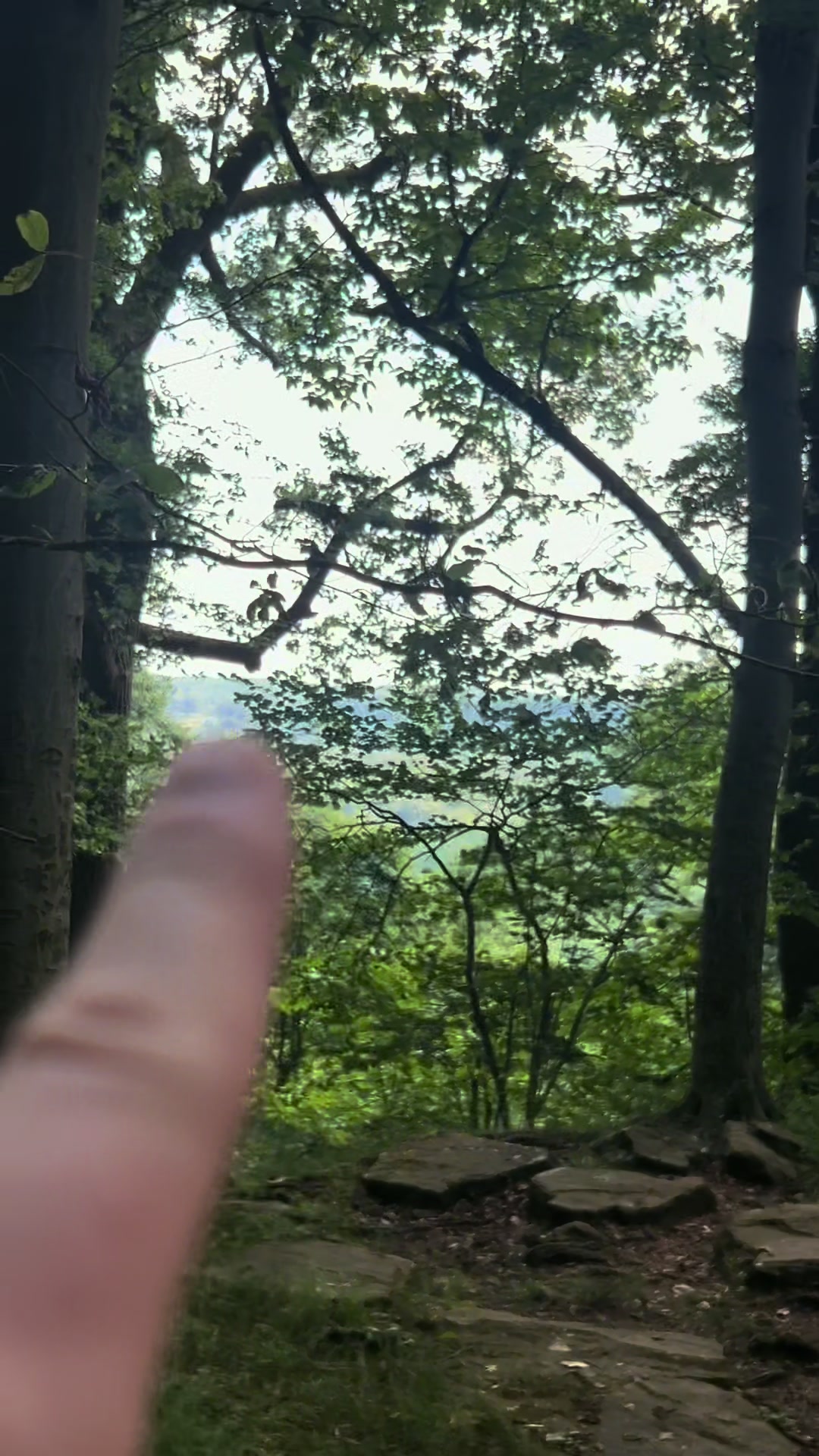 @Daver in the Woods