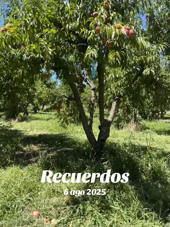 @Amanecer ❤️❤️😇🪽🤍