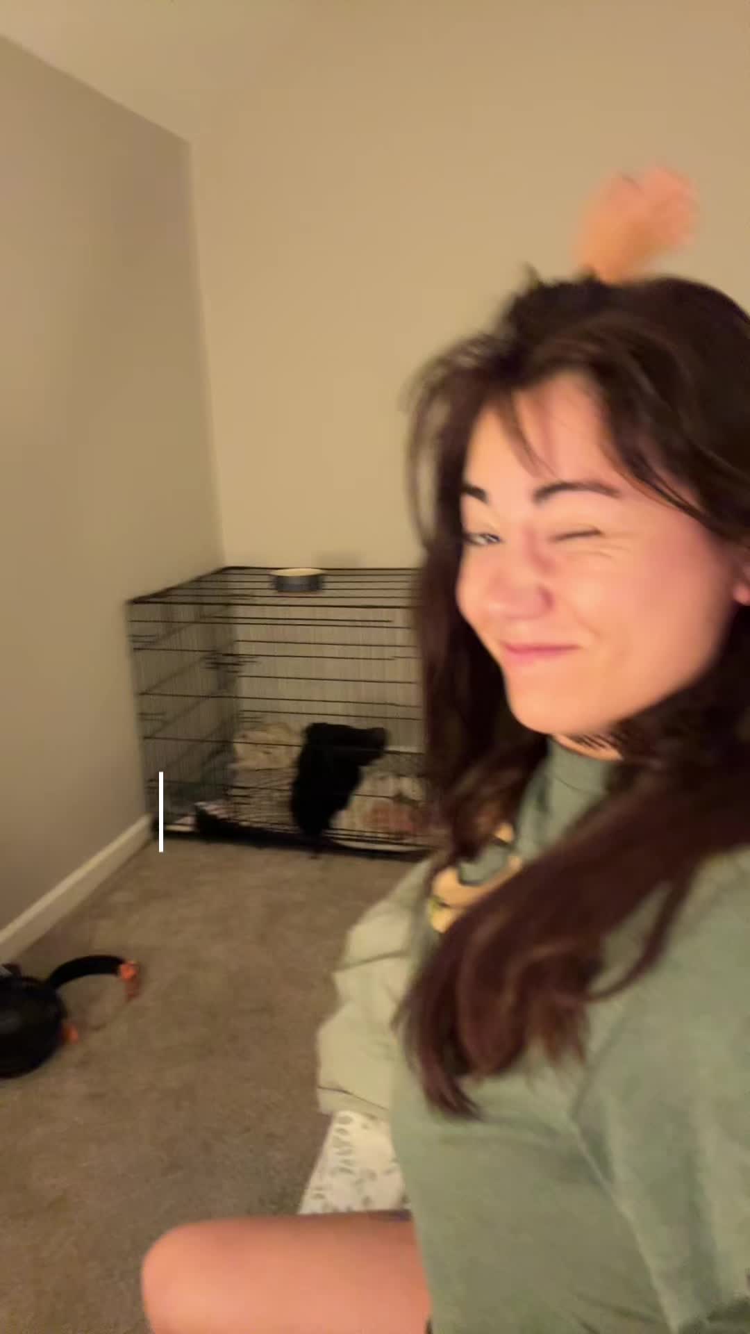 @Kate’s Pack