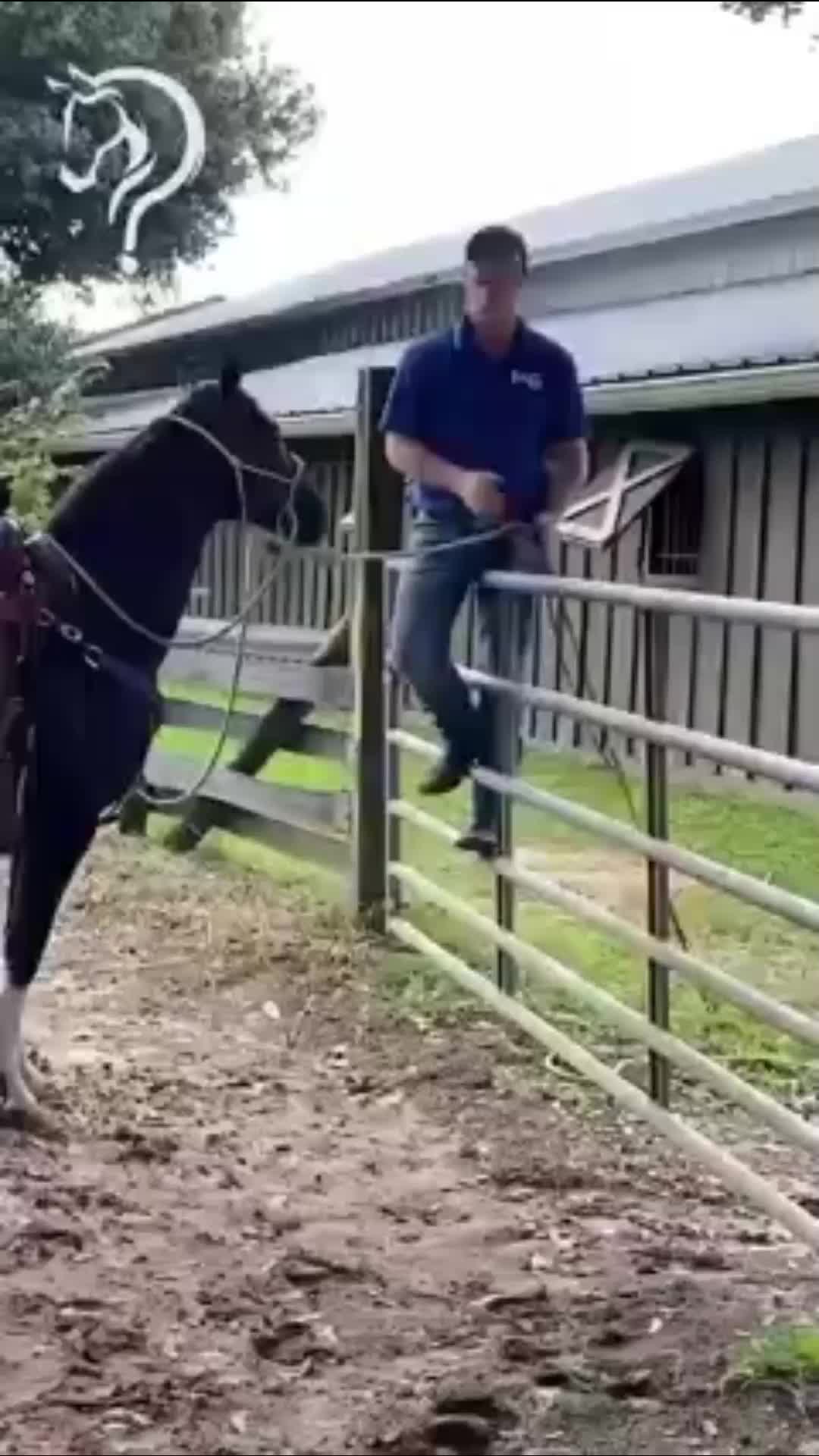 @Horse Help