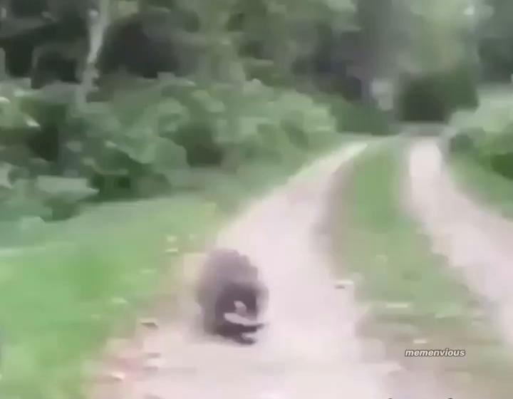@vo