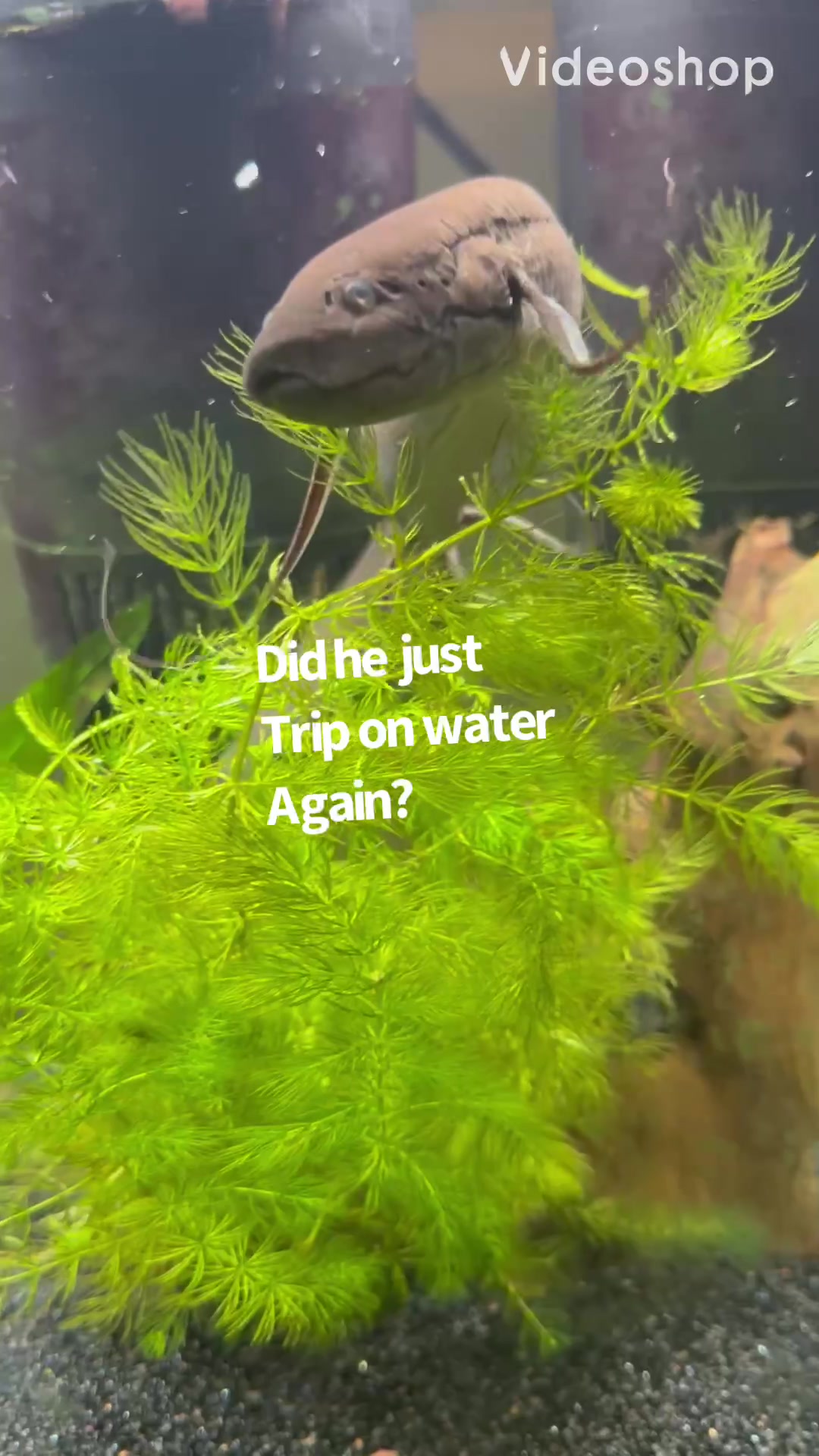 @fishdaddy2002