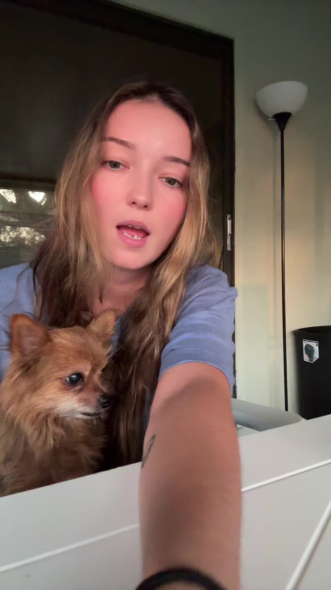 @xbrenny