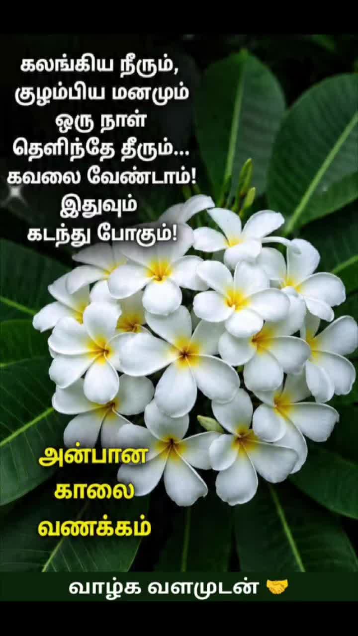 @Sai Meena