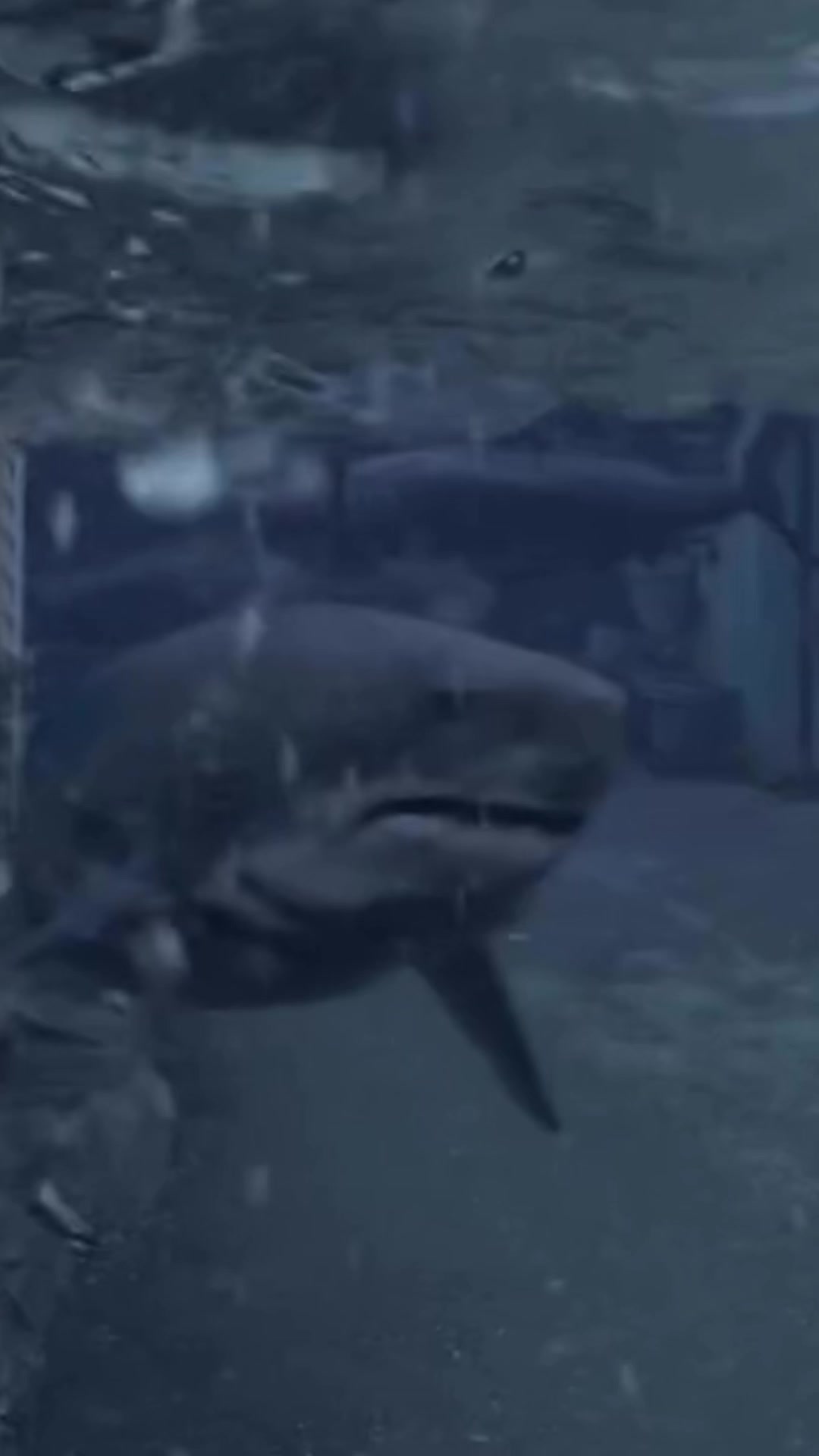 @waterjon โ๐
