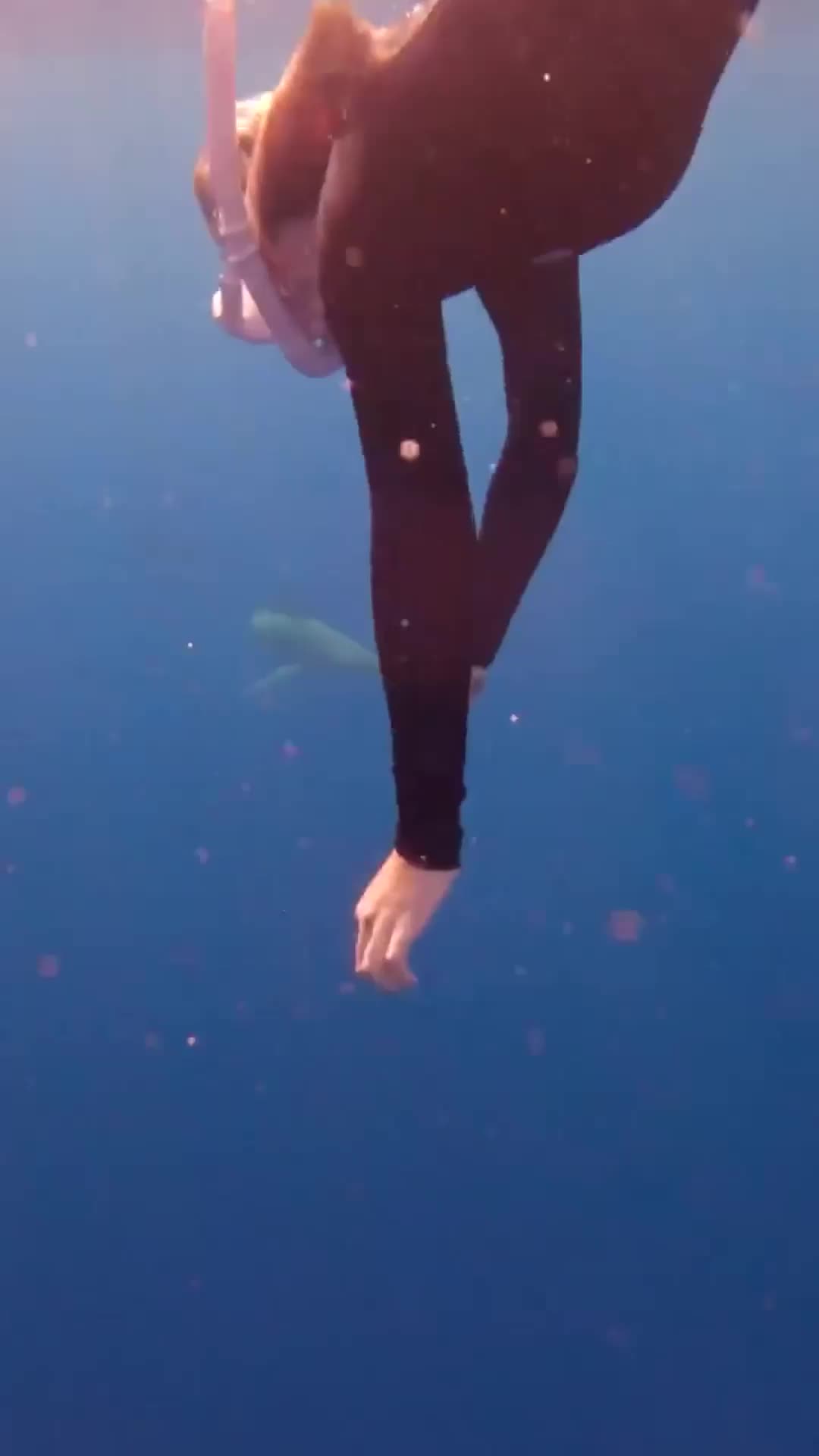 @danijoelle240