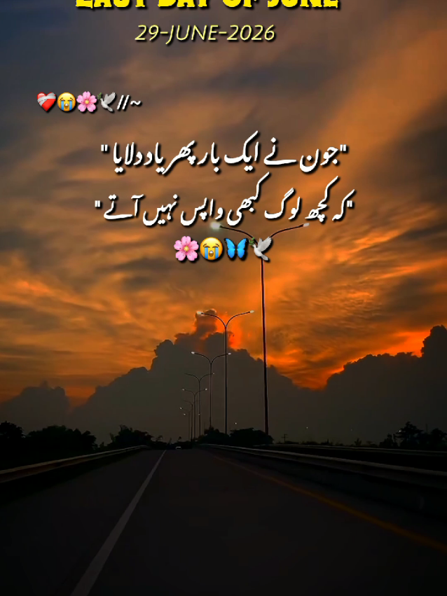 @Arooj 🦋🌼