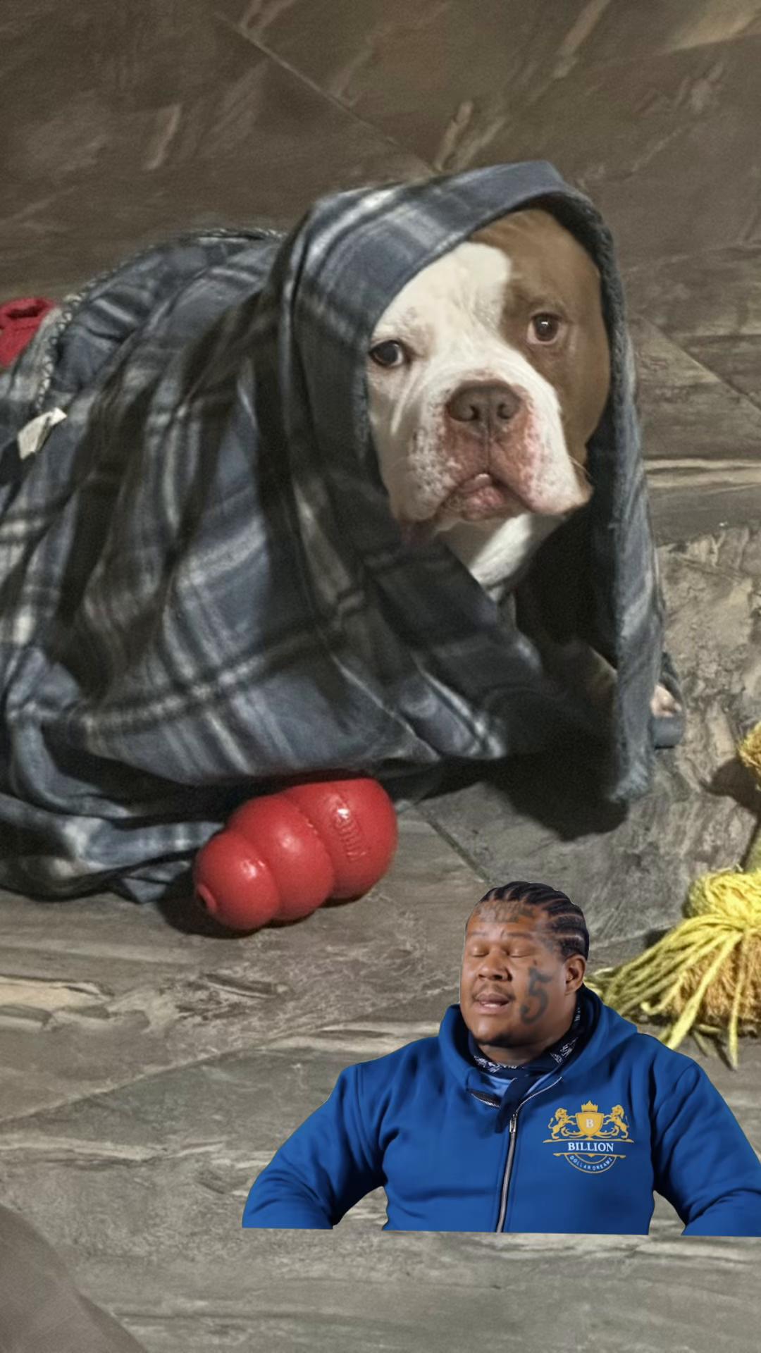 @Kane_figures