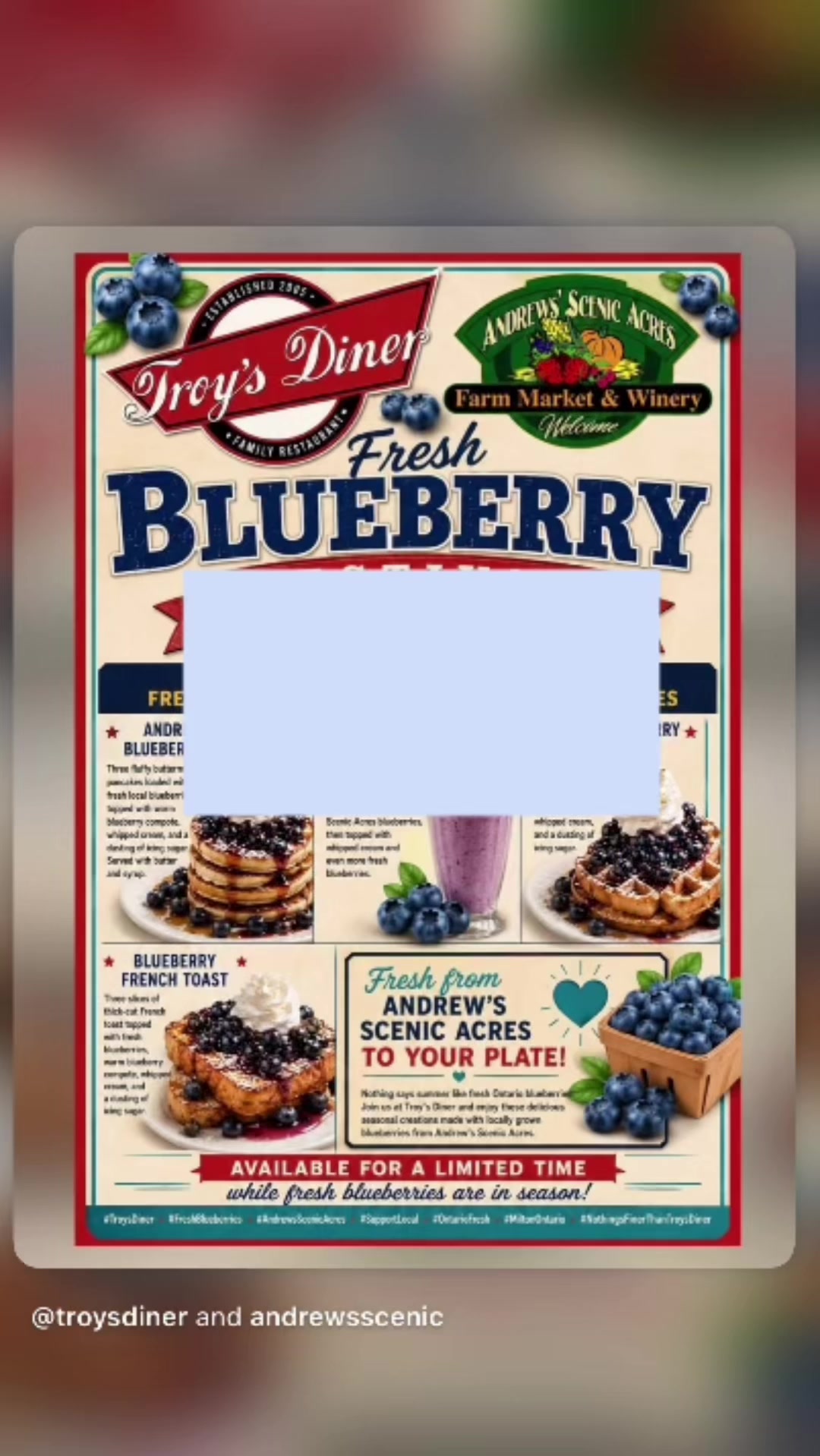 @Troy&rsquo;s Diner Inc