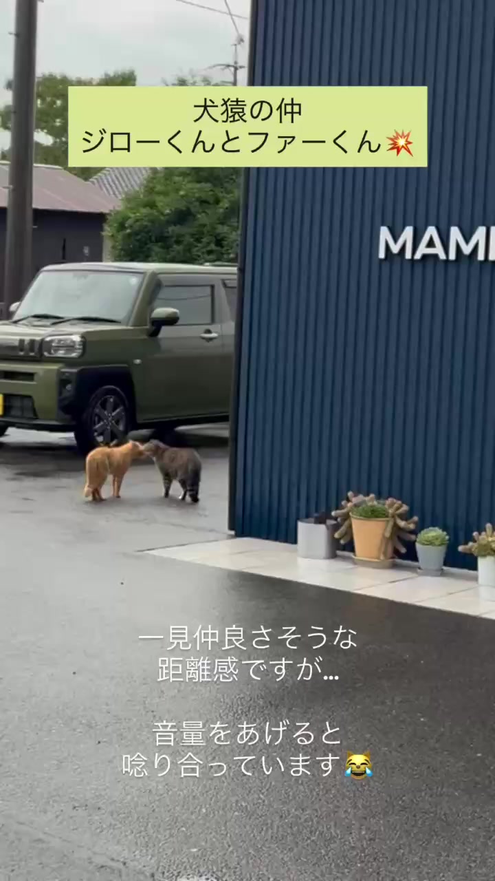 @【公式】株式会社真宮|三重